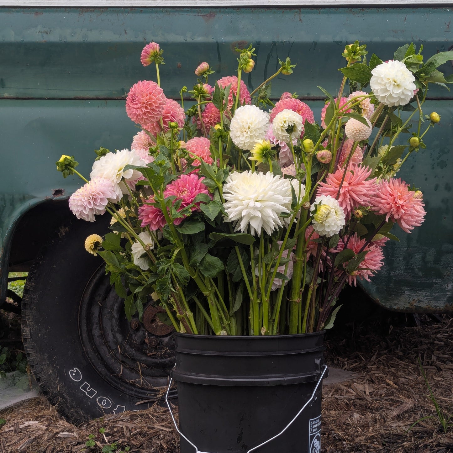Bloom Bar + Pick Your Own Bucket